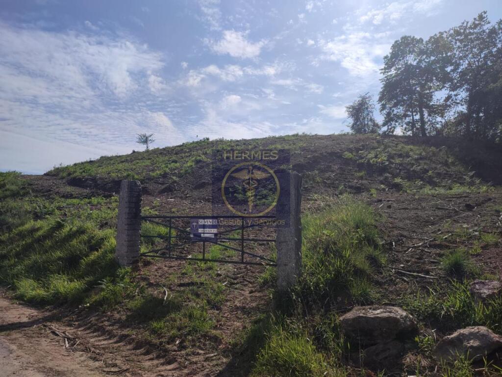 Terreno rusticos de 6164 M2 en Pexegueiro Tui - foto 11