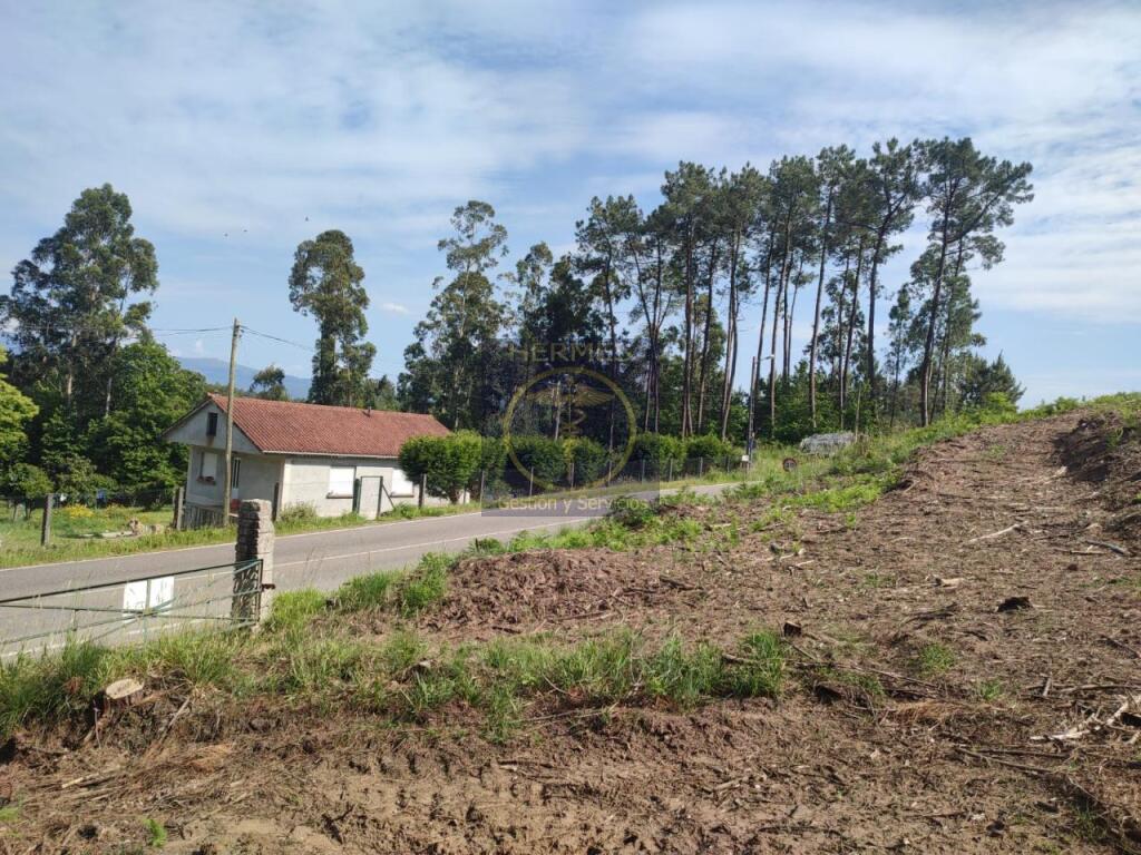 Terreno rusticos de 6164 M2 en Pexegueiro Tui - foto 12