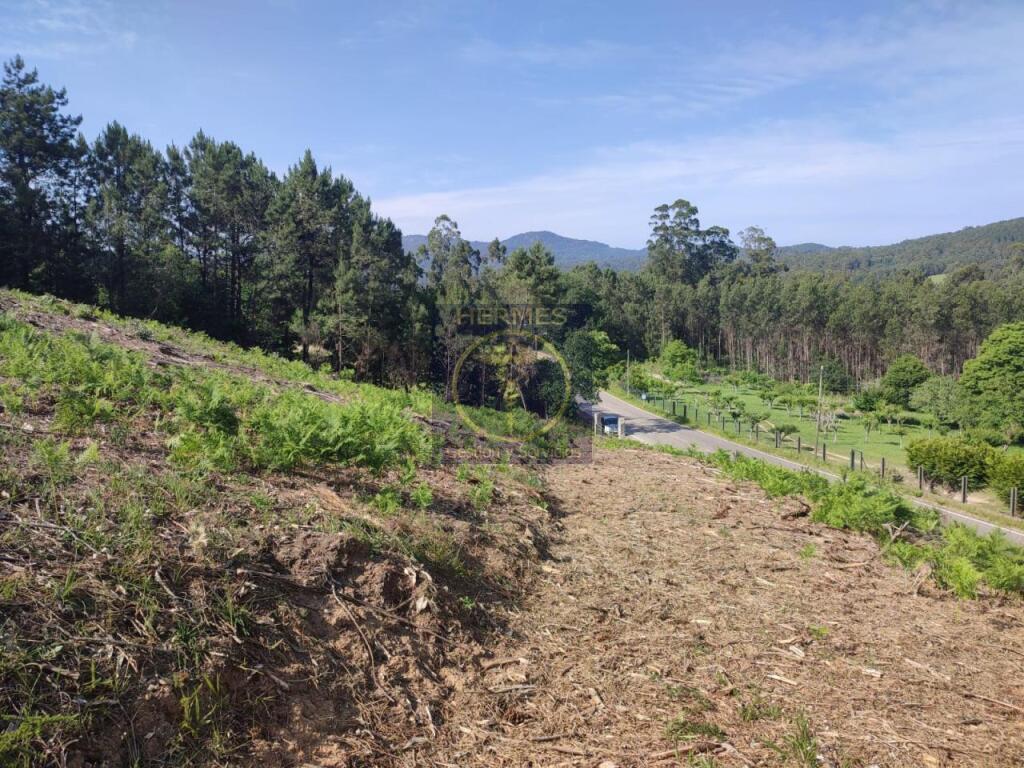 Terreno rusticos de 6164 M2 en Pexegueiro Tui - foto 3