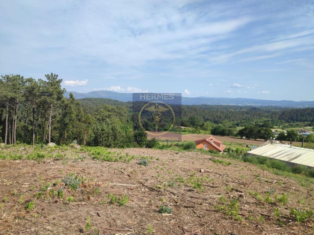 Terreno rusticos de 6164 M2 en Pexegueiro Tui - foto 5
