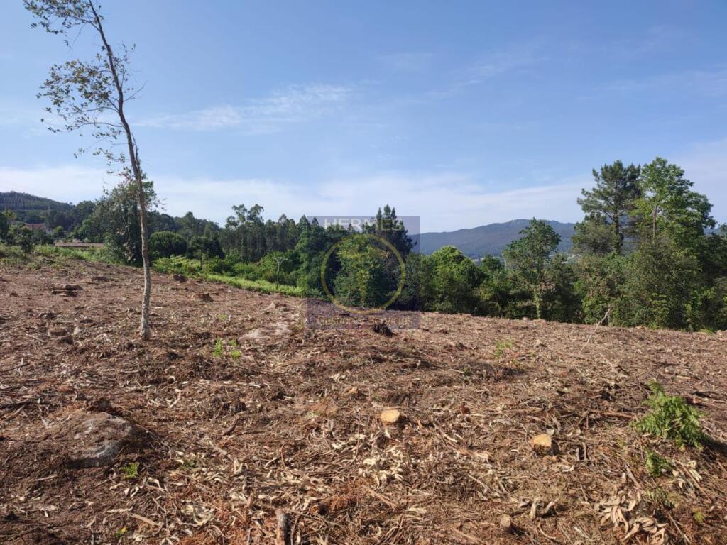 Terreno rusticos de 6164 M2 en Pexegueiro Tui - foto 6