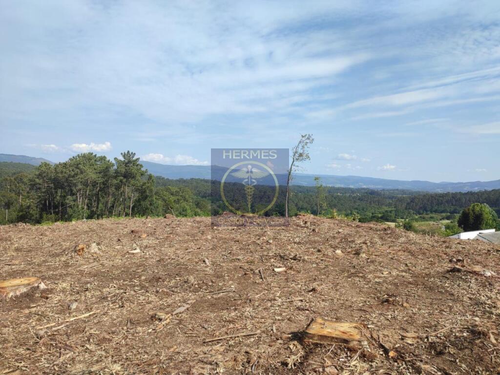 Terreno rusticos de 6164 M2 en Pexegueiro Tui - foto 9