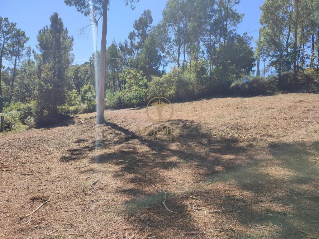 Terreno rustico fantástica ubicación - foto 2