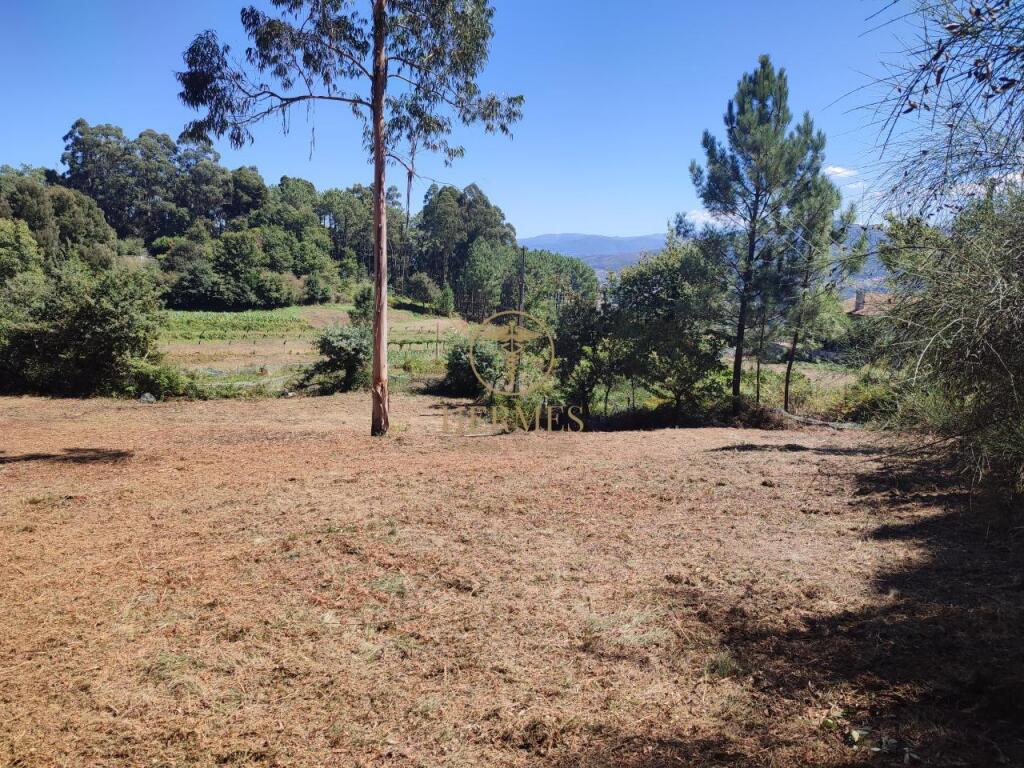 Terreno rustico fantástica ubicación - foto 4
