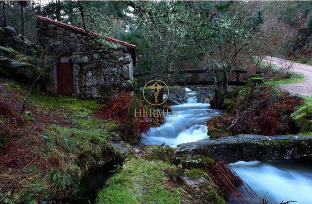 Venta de  Casa señorial en Tui, Camino de Santiago - foto 6