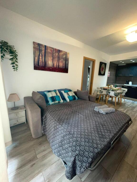 Piso Reformado de 2 habitaciones en Los Cristianos con Pisci - foto 11