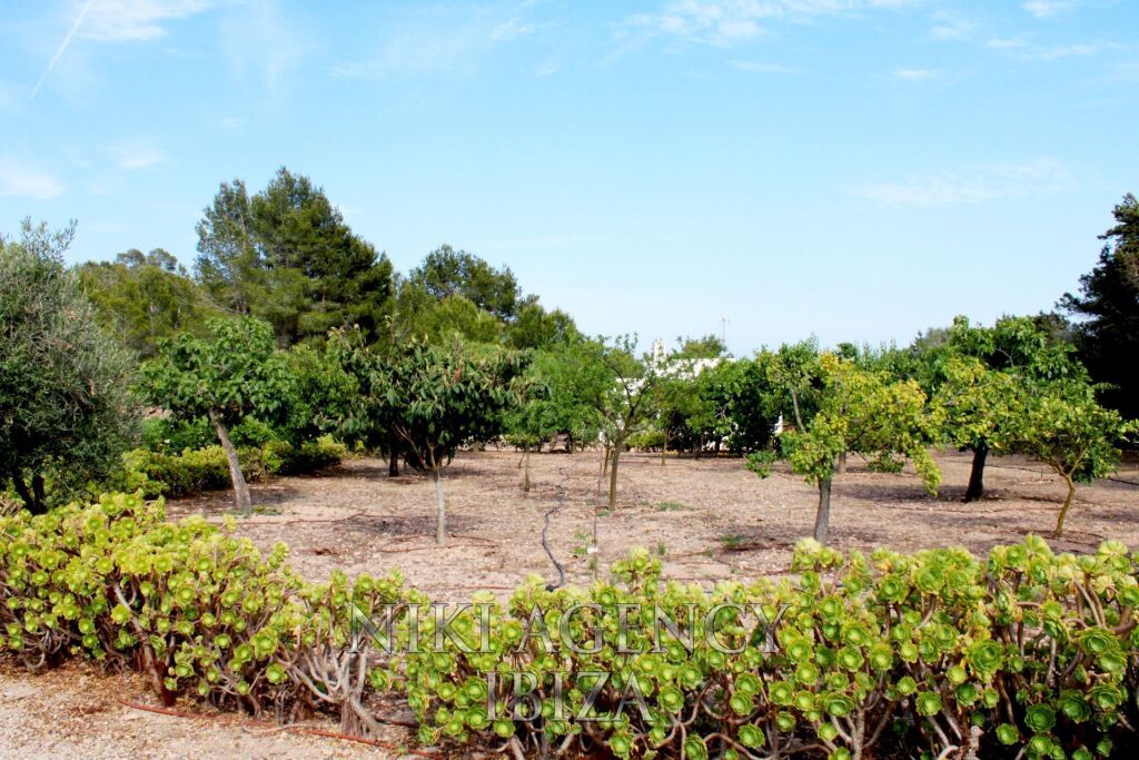 Casa-Chalet en Venta en Sant Antoni De Portmany Baleares - foto 44