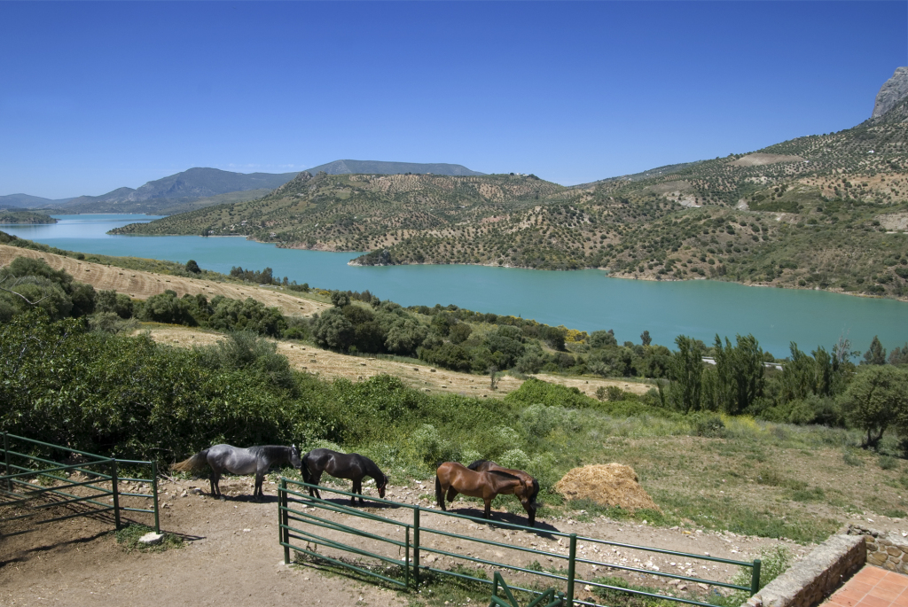 Casa de campo-Masía en Venta en Montecorto Málaga