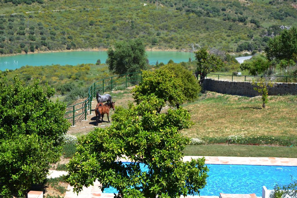Casa de campo-Masía en Venta en Montecorto Málaga - foto 4
