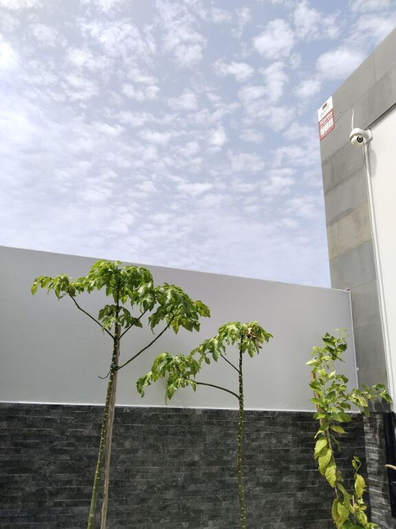 Casa-Chalet en Venta en Tuineje Las Palmas - foto 43