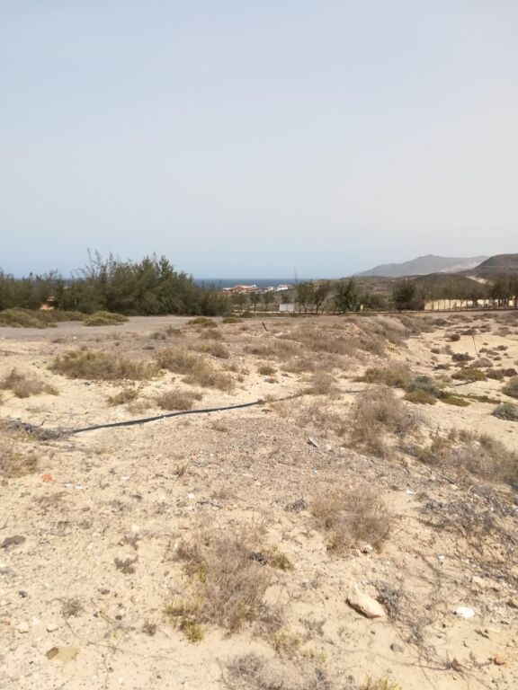 Parcela en Venta en Pajara Las Palmas - foto 4