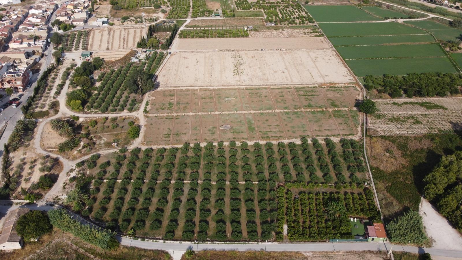 ✨ ¡EXCELENTE OPORTUNIDAD DE INVERSIÓN! PARCELA AGRARIA DE 24 - foto 3