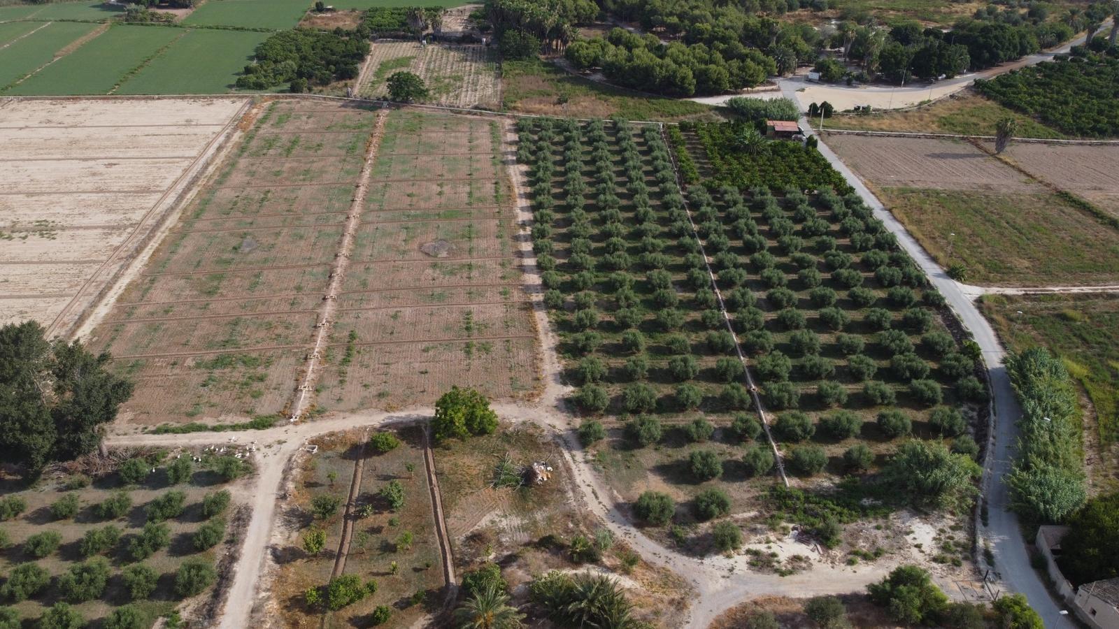 ✨ ¡EXCELENTE OPORTUNIDAD DE INVERSIÓN! PARCELA AGRARIA DE 24 - foto 4