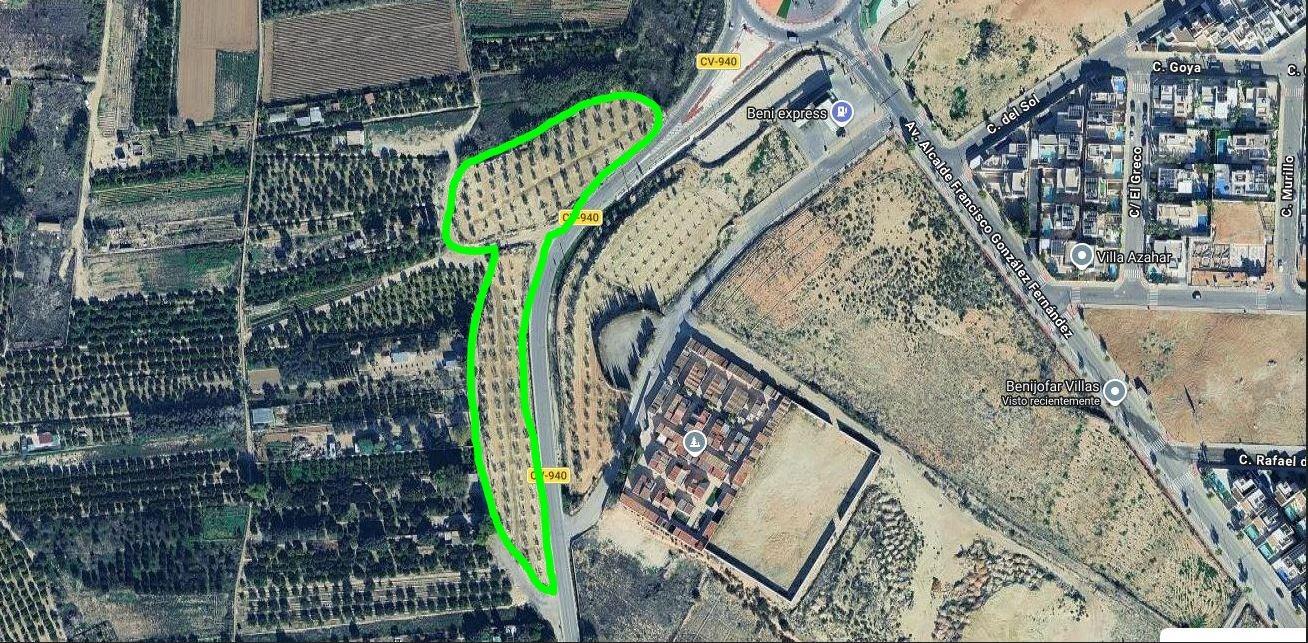 ✨ ¡MAGNÍFICA FINCA RÚSTICA DE 7.716 m2 EN BENIJÓFAR! ✨ - foto 4