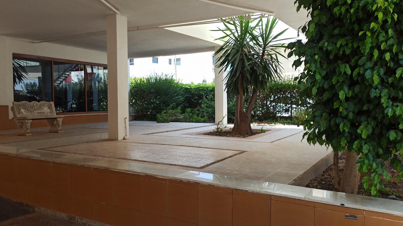 PLANTA BAJA CON GARAJE AL LADO DEL MAR! - foto 3