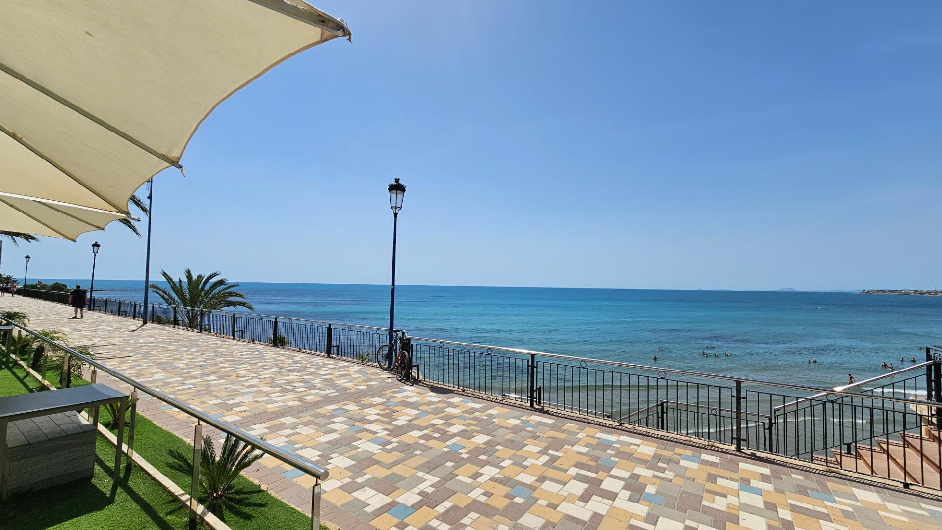 Parcela 4 habitaciones en venta - Rocio del Mar - foto 10