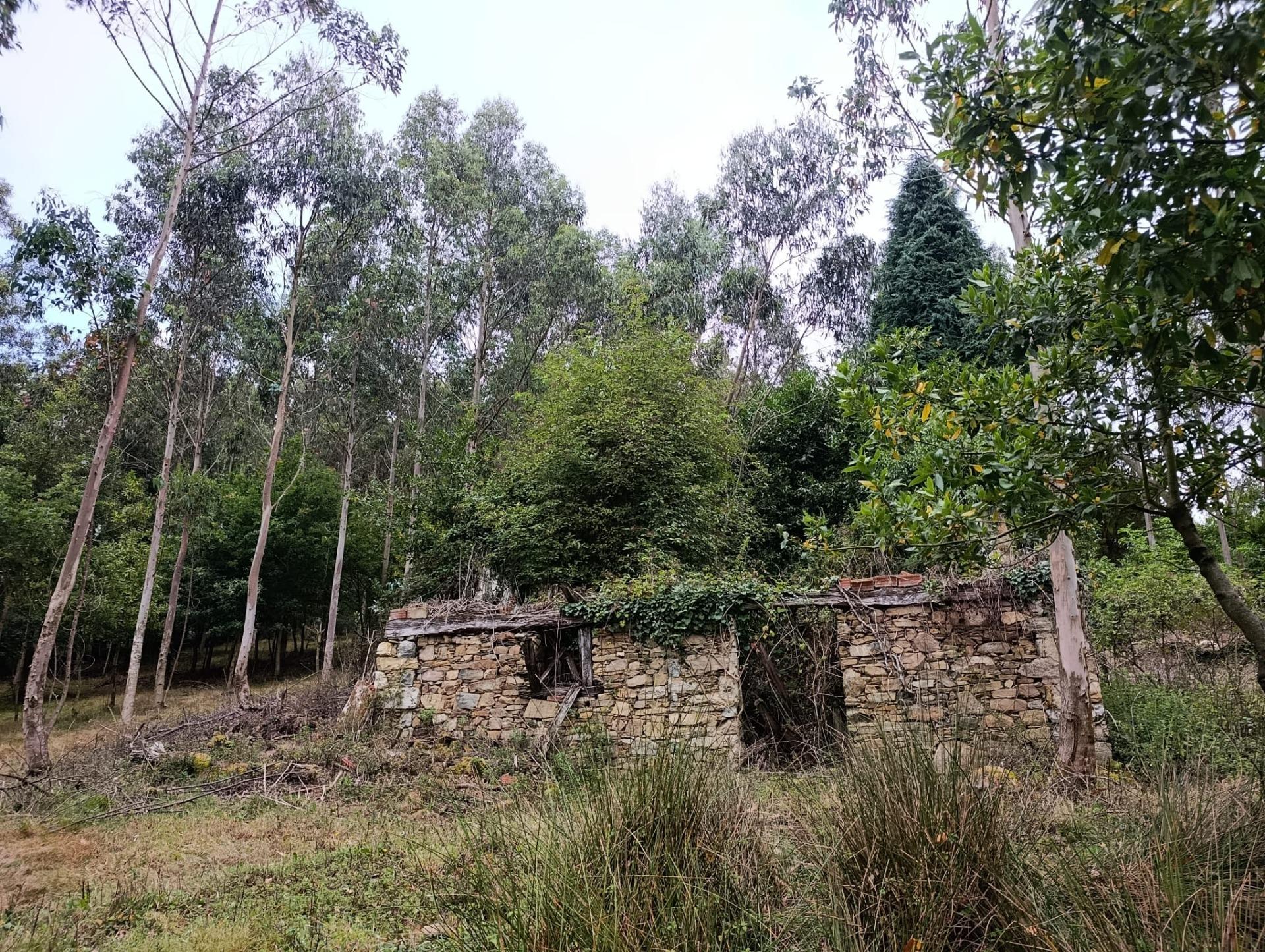 Finca rústica 40m² en venta - Northern spain