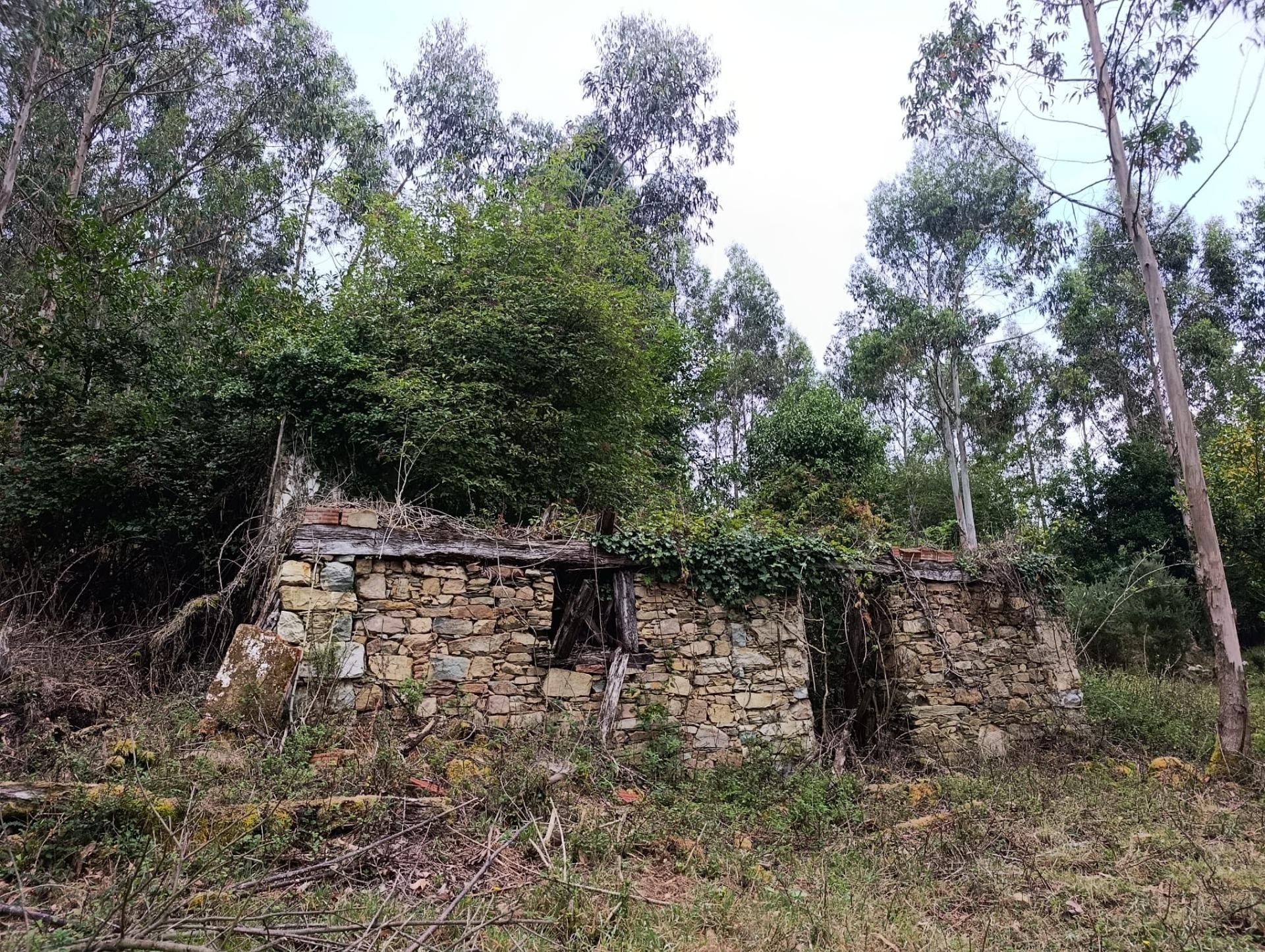 Finca rústica 40m² en venta - Northern spain - foto 2