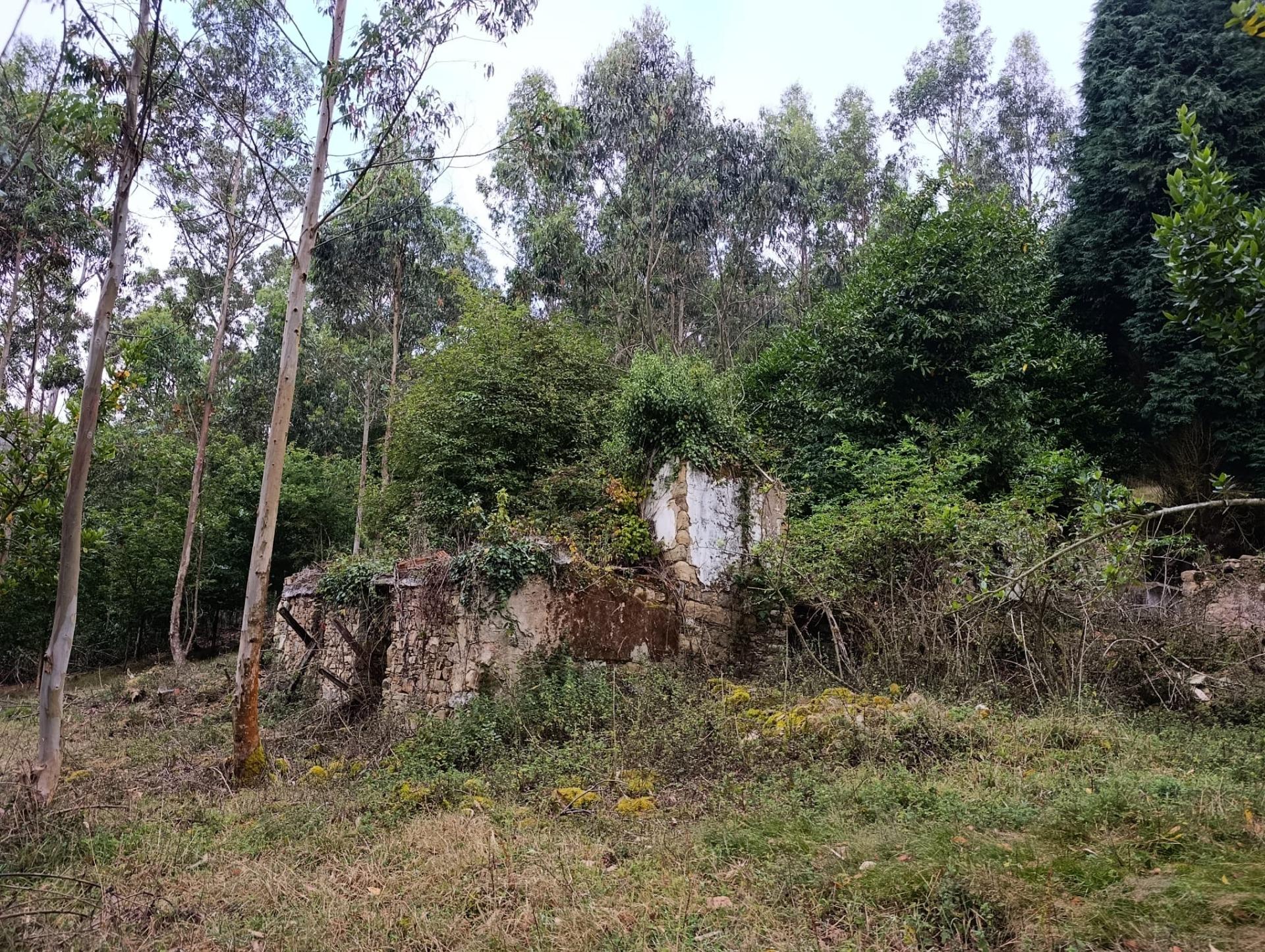Finca rústica 40m² en venta - Northern spain - foto 3