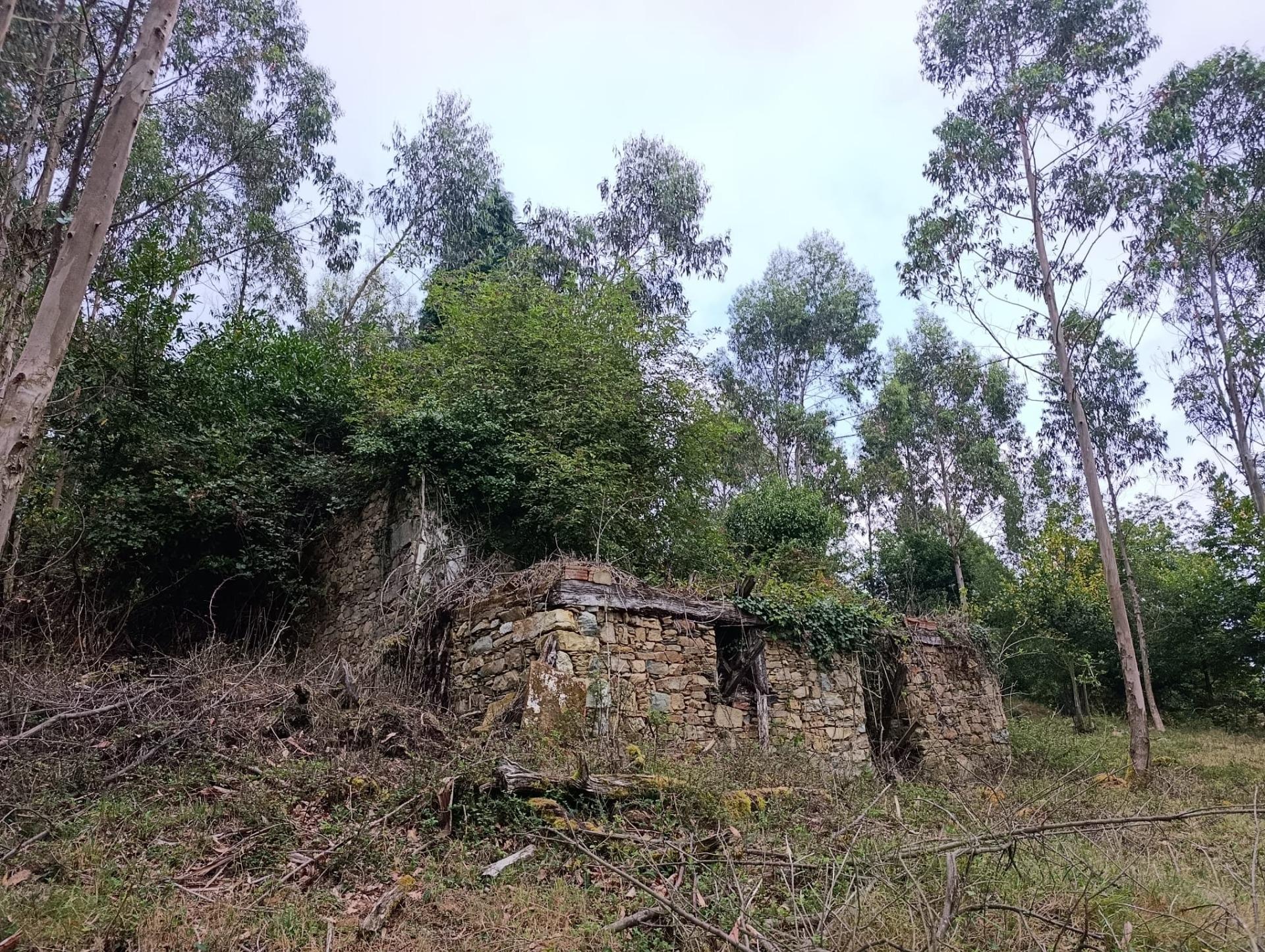 Finca rústica 40m² en venta - Northern spain - foto 4