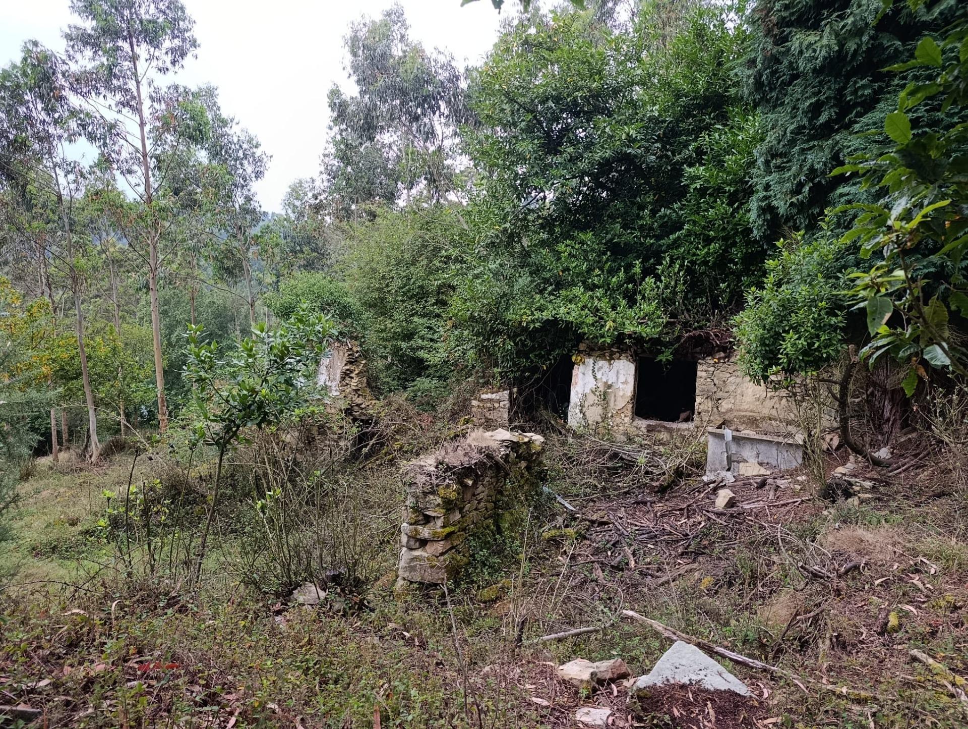 Finca rústica 40m² en venta - Northern spain - foto 5