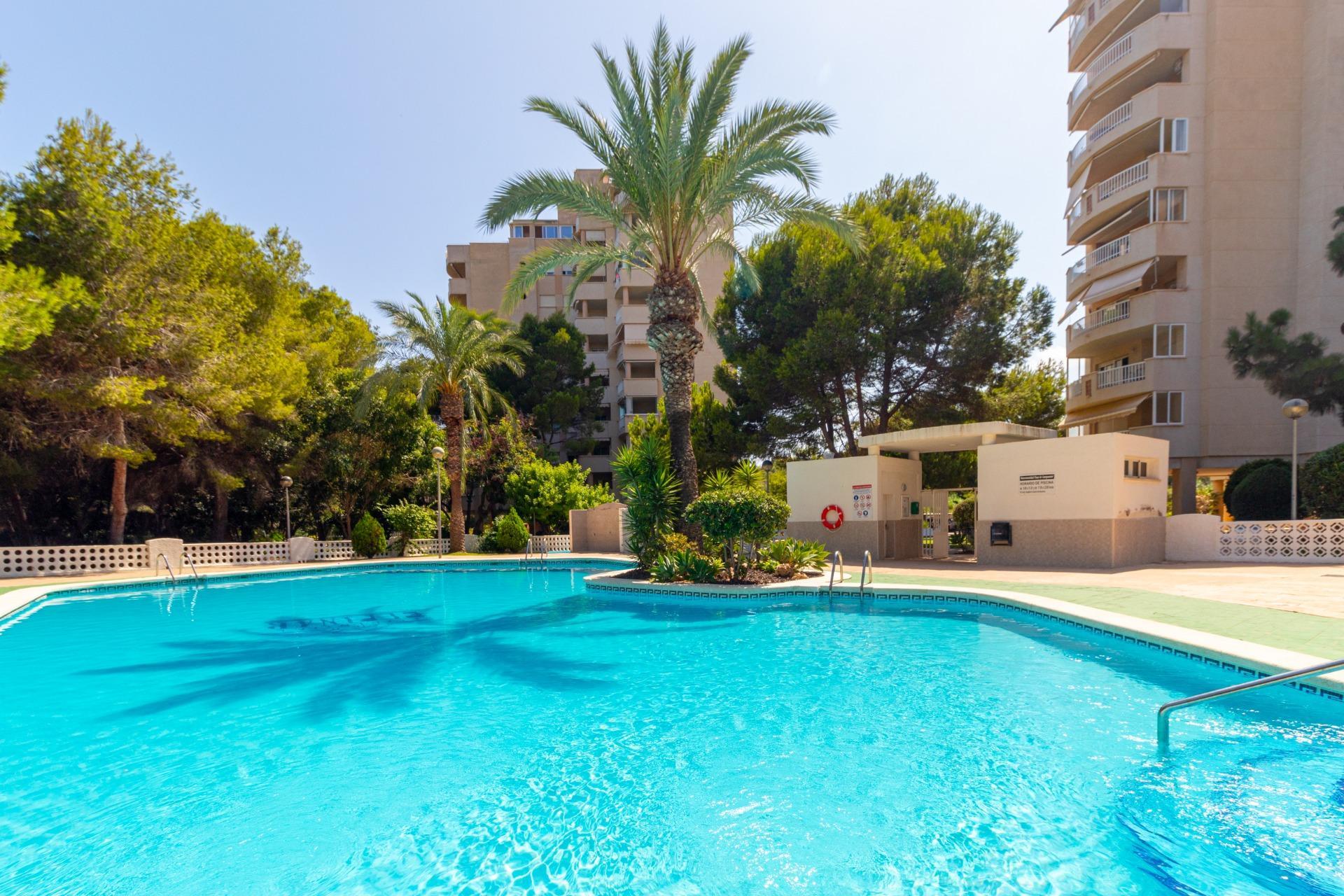 Apartamento 1 habitación 48m² en venta - Aguamarina