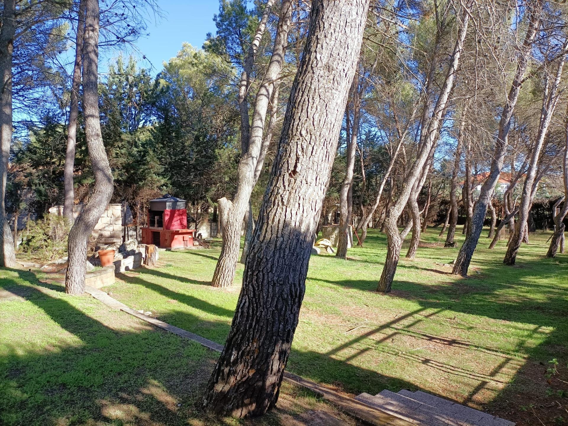 PARCELA URBANA EN CABANILLAS DE LA SIERRA - foto 5