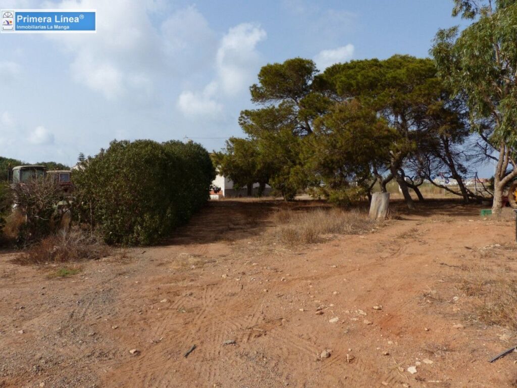 Venta de finca agrícola en Los Belones