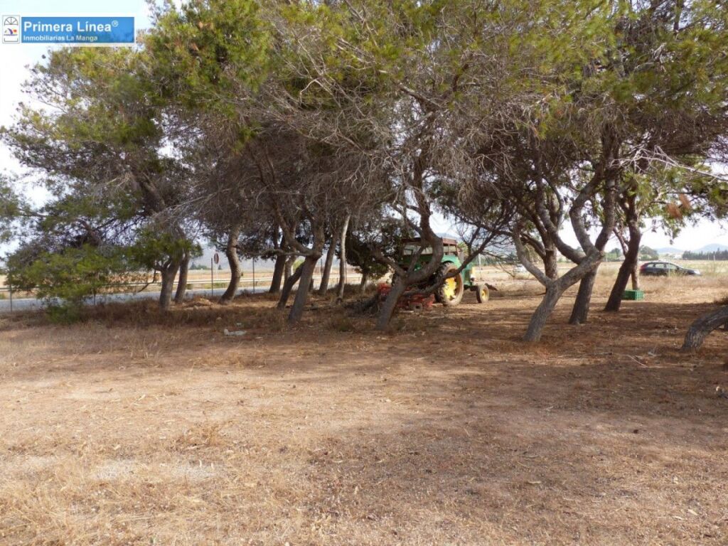 Venta de finca agrícola en Los Belones - foto 13