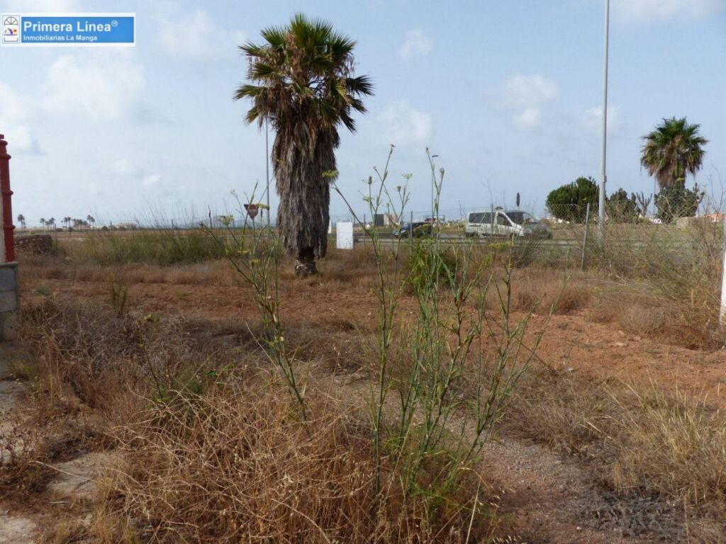 Venta de finca agrícola en Los Belones - foto 17