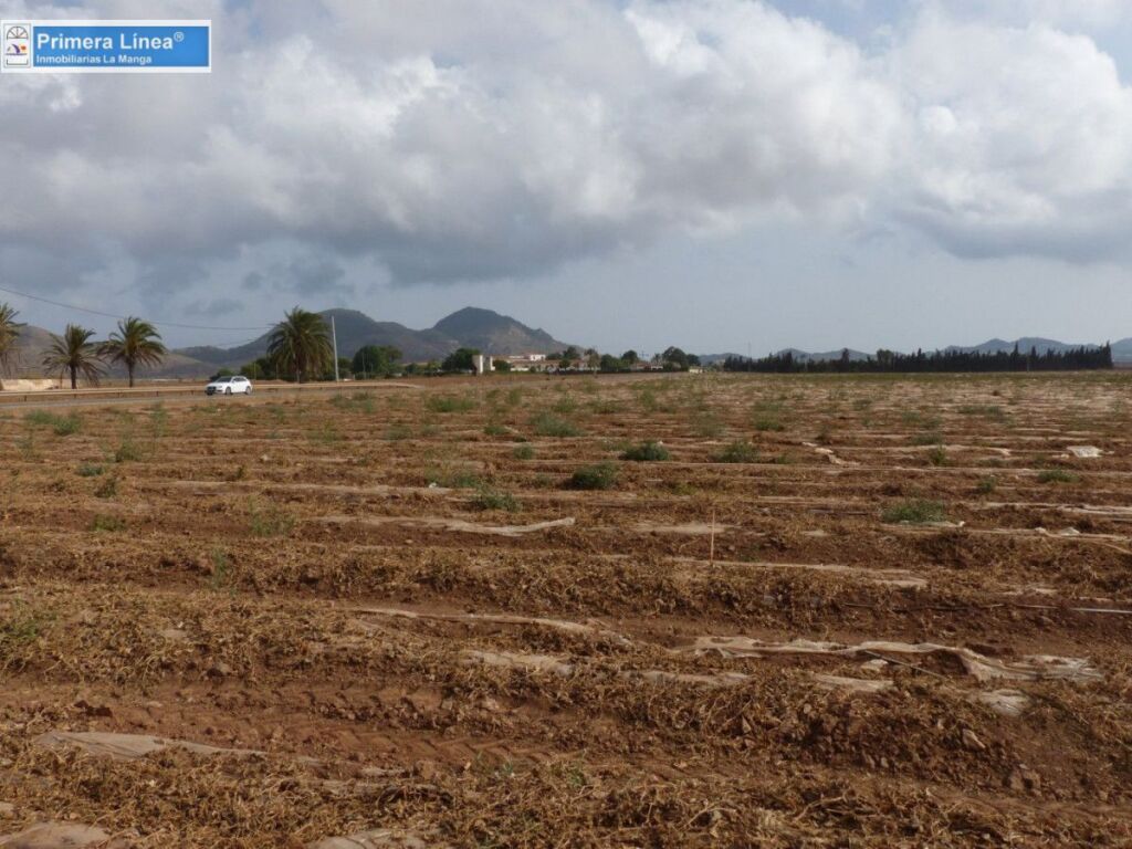 Venta de finca agrícola en Los Belones - foto 18