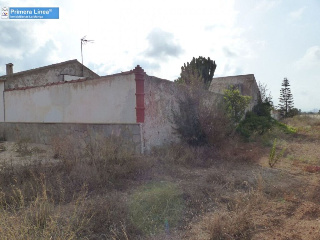 Venta de finca agrícola en Los Belones - foto 20
