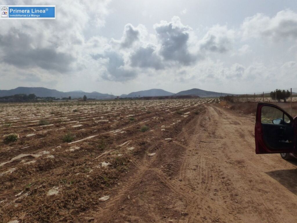 Venta de finca agrícola en Los Belones - foto 3