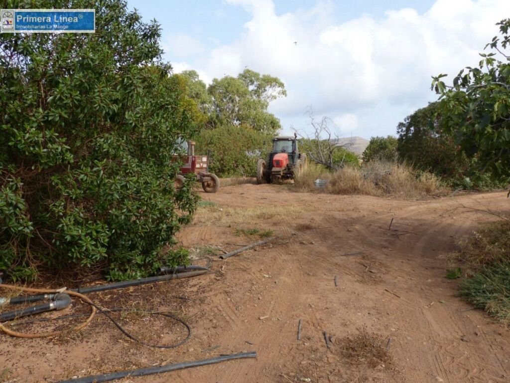 Venta de finca agrícola en Los Belones - foto 21