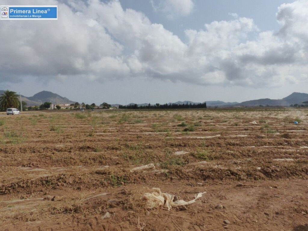 Venta de finca agrícola en Los Belones - foto 24