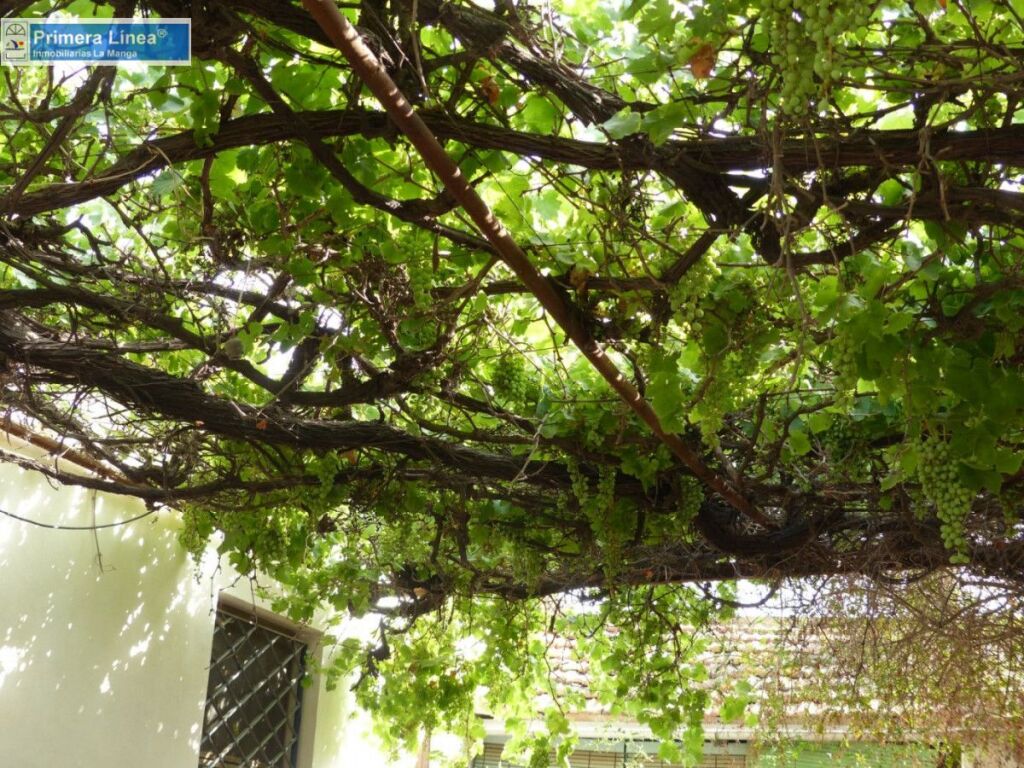 Venta de finca agrícola en Los Belones - foto 26