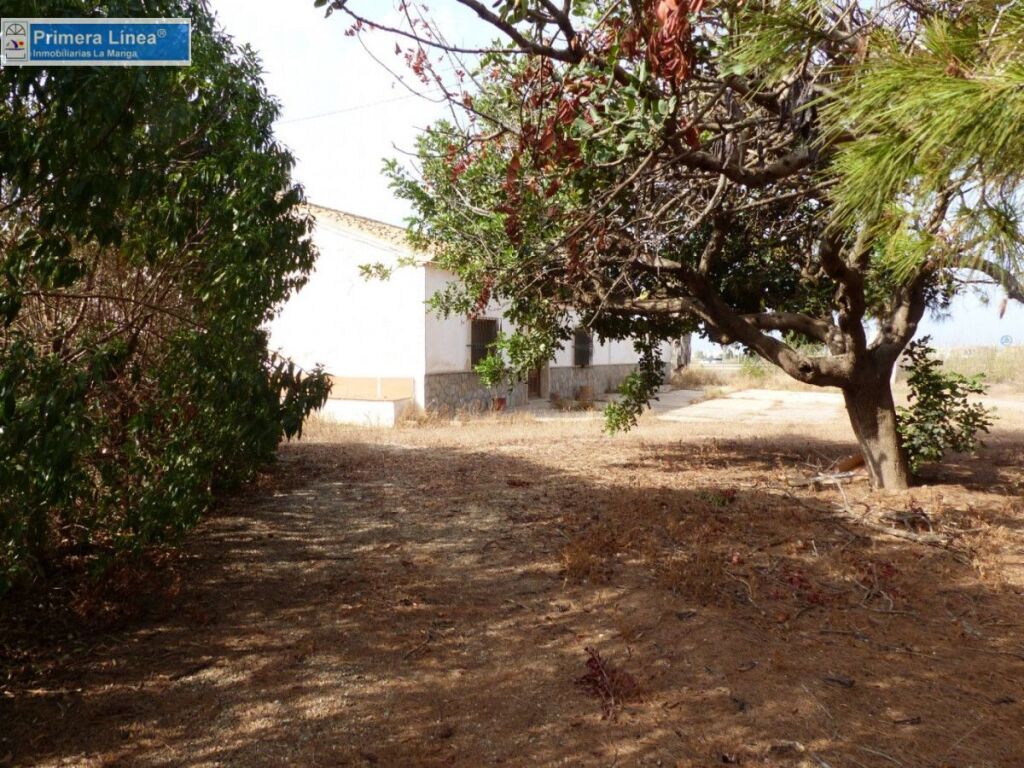 Venta de finca agrícola en Los Belones - foto 28
