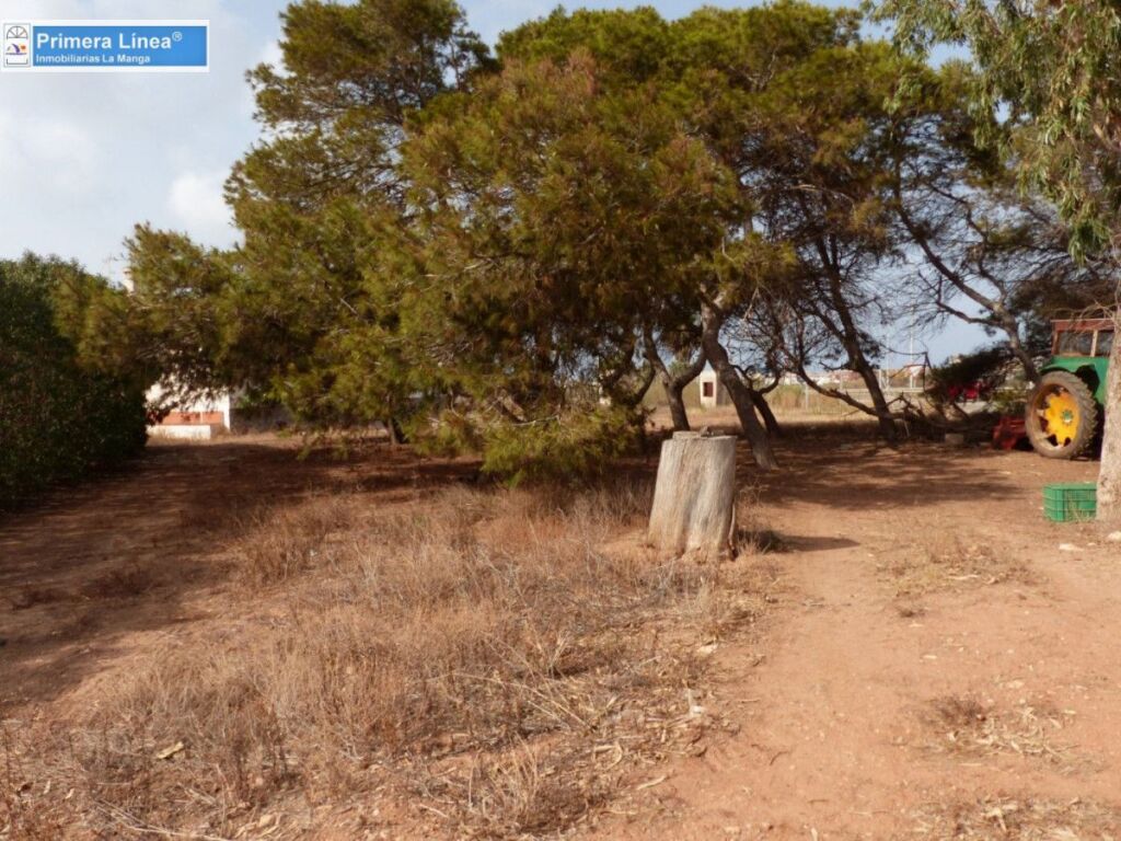 Venta de finca agrícola en Los Belones - foto 30