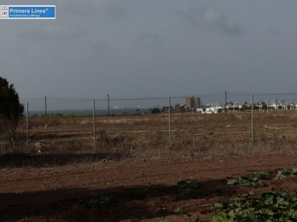 Venta de finca agrícola en Los Belones - foto 33