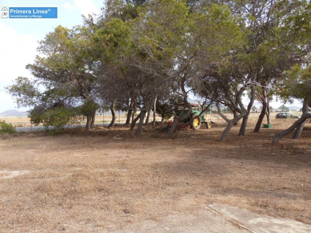 Venta de finca agrícola en Los Belones - foto 8