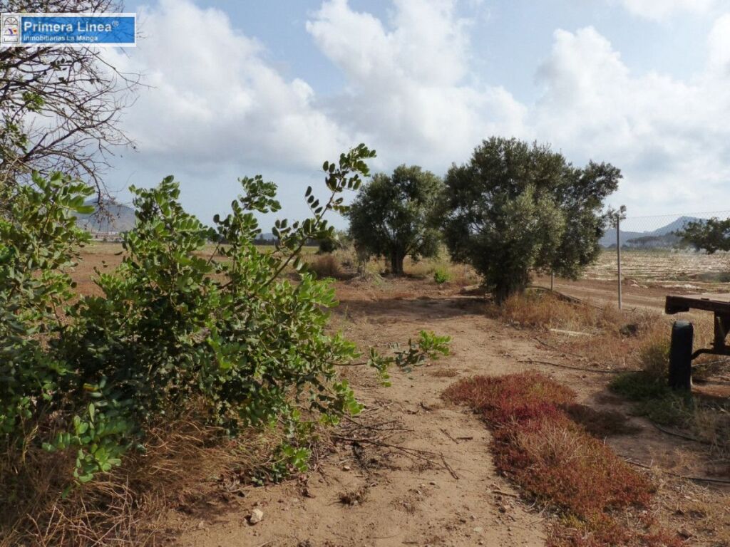 Venta de finca agrícola en Los Belones - foto 10
