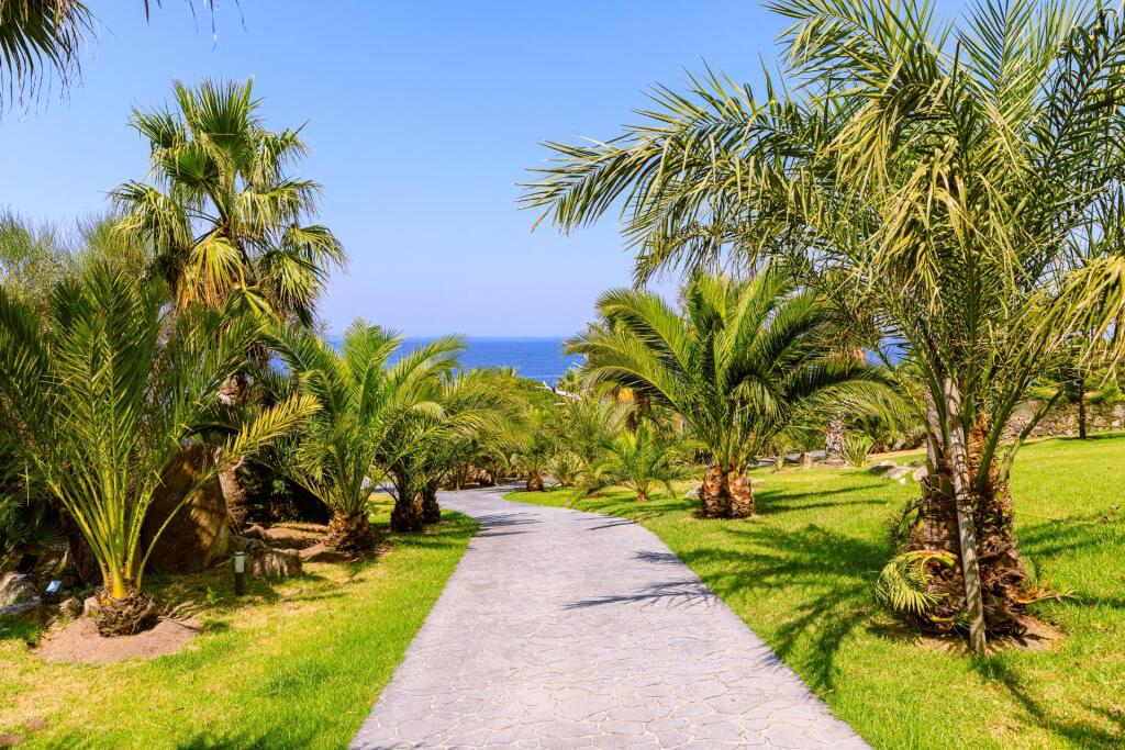 El Secreto Mejor Guardado del Atlántico: Un Oasis Privado de - foto 4