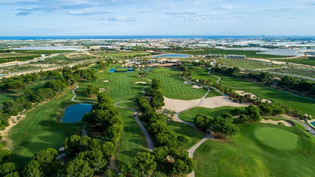 VILLAS DE OBRA NUEVA EN PILAR DE LA HORADADA EN EL CAMPO DE  - foto 52
