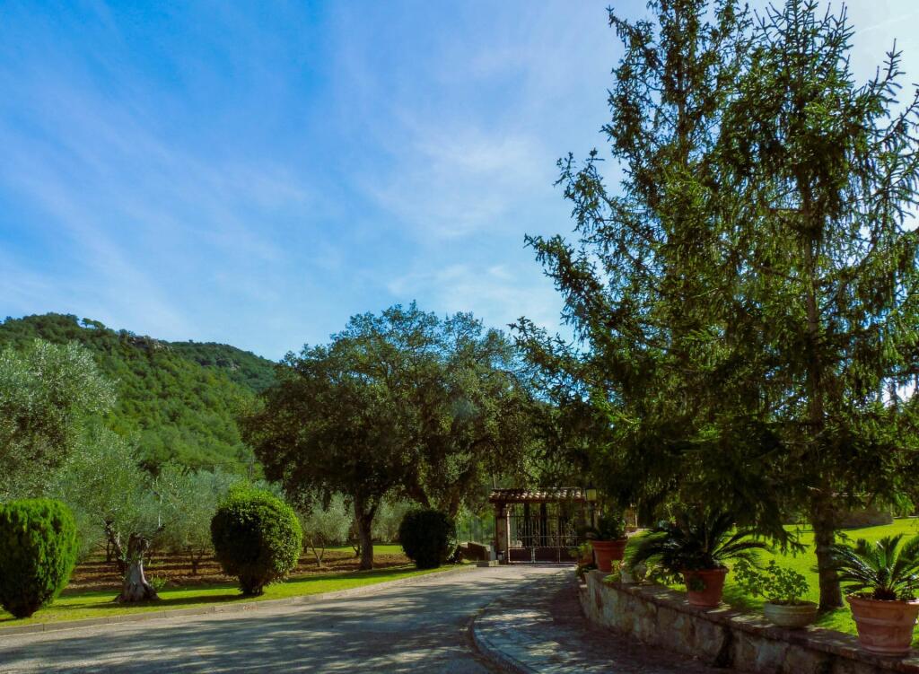 MASIA EN MAS ARTIGUES - foto 2