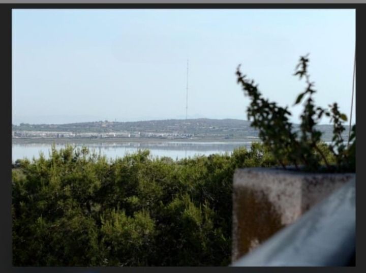 Estudio en Venta en Torrevieja Alicante - foto 9