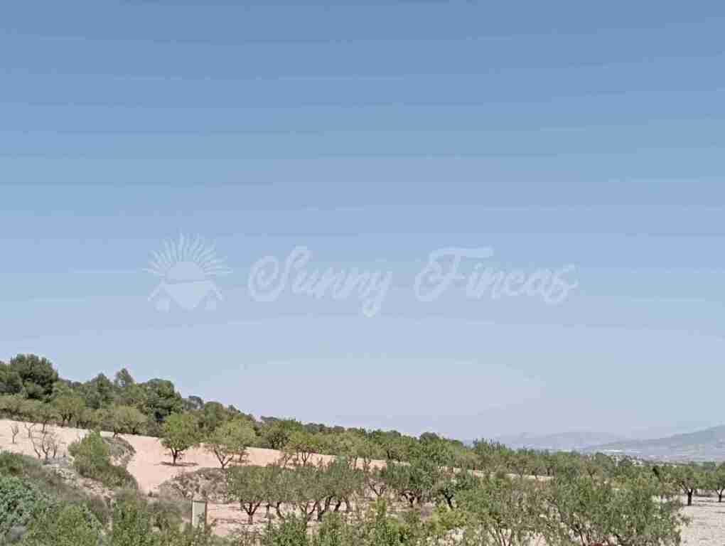 Suelo rústico en Venta en Jumilla Murcia