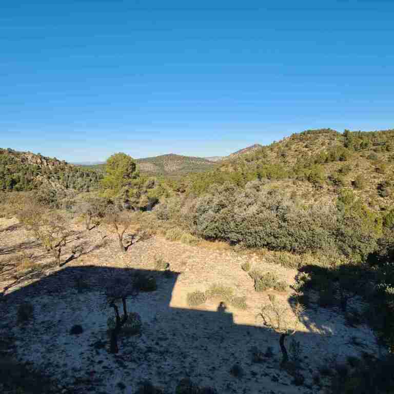 Casa de campo-Masía en Venta en Biar Alicante - foto 20