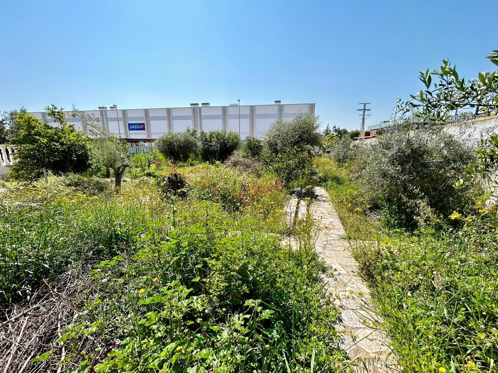 Parcela en venta - Centro de la Ciudad Quesada - foto 3