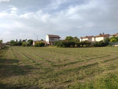 SOLAR URBANO PARA 3 CHALETS Ó 1 SÓLO CON 3.900m2 JUNTO A MUR