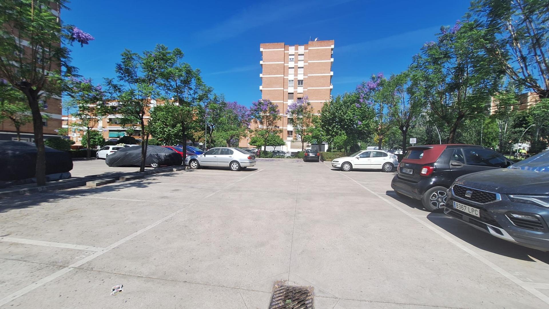 D. ¡¡ PISO PARA REFORMAR EN CARLOS III CON PLAZA DE APARCAMI - foto 11